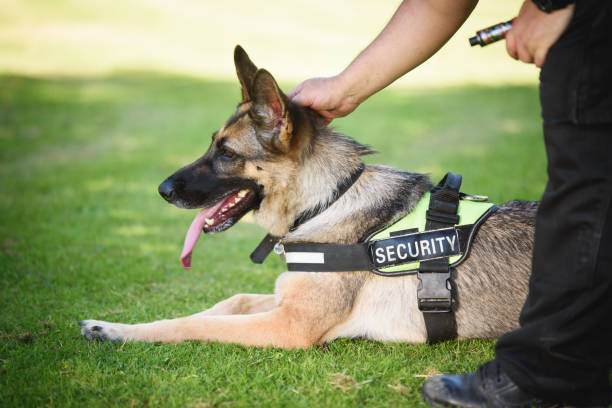 Baaj Security Dog Unit Services